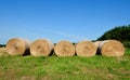 Rolled Hay