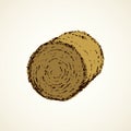 Haystack. Vector drawing Royalty Free Stock Photo