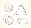 Haystack. Vector drawing Royalty Free Stock Photo