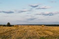 Rolled haystack. hay bale. agriculture field with sky. rural landscape. straw on the meadow. harvest in summer