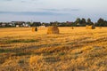 Rolled haystack. hay bale. agriculture field with sky. rural landscape. straw on the meadow. harvest in summer Royalty Free Stock Photo