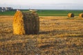 Rolled haystack. hay bale. agriculture field with sky. rural landscape. straw on the meadow. harvest in summer