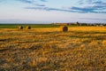 Rolled haystack. hay bale. agriculture field with sky. rural landscape. straw on the meadow. harvest in summer Royalty Free Stock Photo