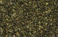 Rolled leaves of Chinese Oolong green tea isolated background