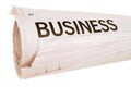 Business headline, rolled newspaper isolated on white background