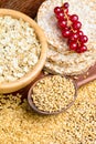 Rolled oats, golden linseeds (flax seeds), whole wheat grains and rice cakes Royalty Free Stock Photo