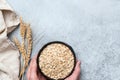 Rolled oats and wheat ears on concrete background Royalty Free Stock Photo