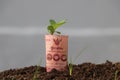 Rolled one hundred baht banknote of Thailand and young plant grow up from the soil.