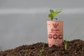 Rolled one hundred baht banknote of Thailand and young plant grow up from the soil.
