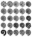 Rolled Paper Flower. Paper Cut Template Isolated on White