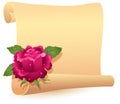 Rolled parchment and rose Royalty Free Stock Photo