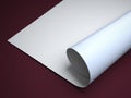 Rolled sheet Royalty Free Stock Photo