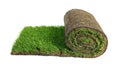 Rolled sod with grass on white background Royalty Free Stock Photo