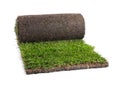 Rolled sod with grass on white background Royalty Free Stock Photo