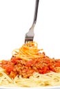 Rolled spaghetti on a fork Royalty Free Stock Photo