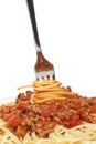 Rolled spaghetti on a fork Royalty Free Stock Photo