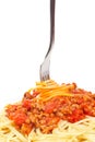 Rolled spaghetti on a fork Royalty Free Stock Photo