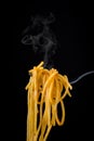 Rolled spaghetti on a fork Royalty Free Stock Photo