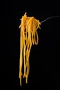 Rolled spaghetti on a fork Royalty Free Stock Photo