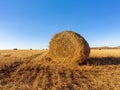 Rolled straw in the fields. Autumn landscape Royalty Free Stock Photo