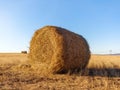 Rolled straw in the fields.  Rural landscape. Sunny autumn day Royalty Free Stock Photo