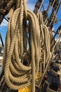 Rolled thick ropes on the old ship near wooden cleats Royalty Free Stock Photo