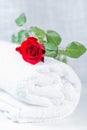 Rolled towel with red rose Royalty Free Stock Photo