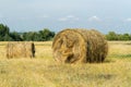 Rolled up haystack in field. Twisted grass for animal feed on farm.