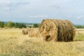 Rolled up haystack in field. Twisted grass for animal feed on farm.