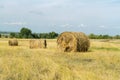 Rolled up haystack in field. Twisted grass for animal feed on farm.