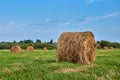 Rolled up rolls of dry hay and stacks of yellow mown grass in field during haymaking