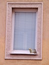 Pink window frame facade with a tiny statue of a dog