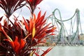 Roller Coaster with Flowers in Foreground