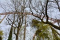 Roller coaster rails between trees Royalty Free Stock Photo