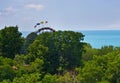 Roller coaster at Waldameer Park Erie, Pennsylvania