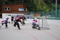 Roller hockey Royalty Free Stock Photo