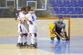 Roller Hockey goal celebration