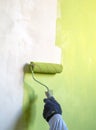 Roller for painting the walls green paint