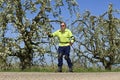 Roller skater and trees with blossoms in Betuwe Royalty Free Stock Photo