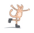 Roller-skating cat