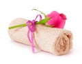Roller towel with pink roses Royalty Free Stock Photo
