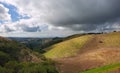 Rolling California Hillside Royalty Free Stock Photo