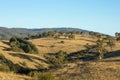 Rolling Country Hills Landscape