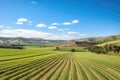 rolling countryside hills with rows of crops and a blue sky