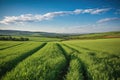 rolling countryside hills with rows of crops and a blue sky