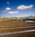 Rolling cultivated land Royalty Free Stock Photo