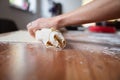 Rolling delicious apple strudel Royalty Free Stock Photo