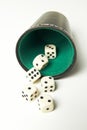 Rolling the dices Royalty Free Stock Photo
