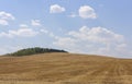 Rolling Farm Hills of Wheat Crop Fields on Sunny Summer Day