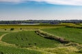 Rolling field of Young corn field somewhere in Omaha Nebraska Royalty Free Stock Photo